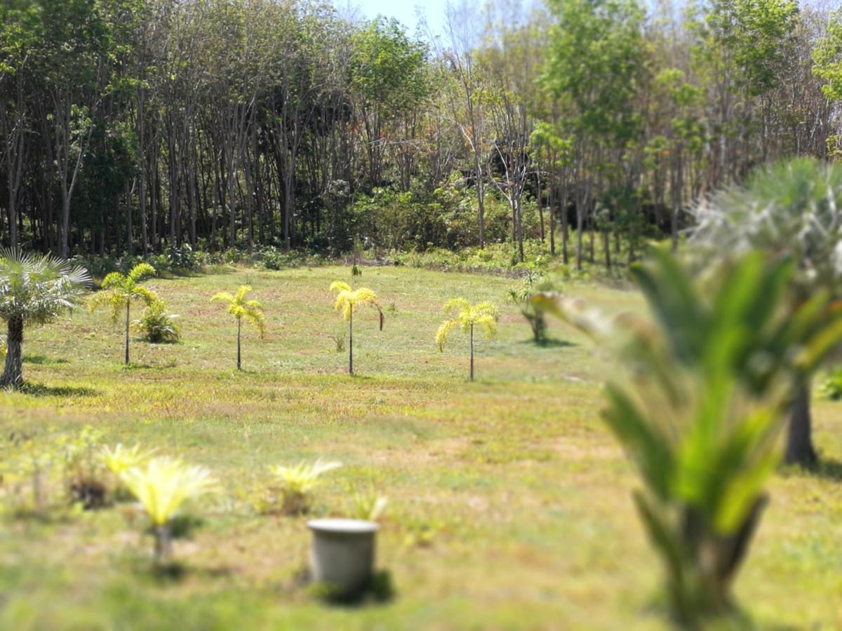 Palm Garden House Apartment Koh Lanta Exterior photo